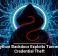 New Python Backdoor Exploits Tunneling for Credential Theft